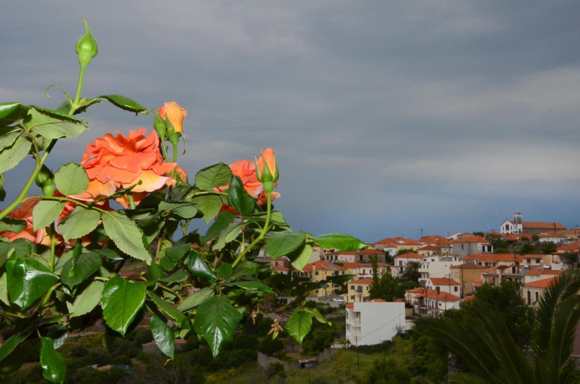 Hotel Dina - Ξενοδοχείο Ντινα Plati  Exteriör bild