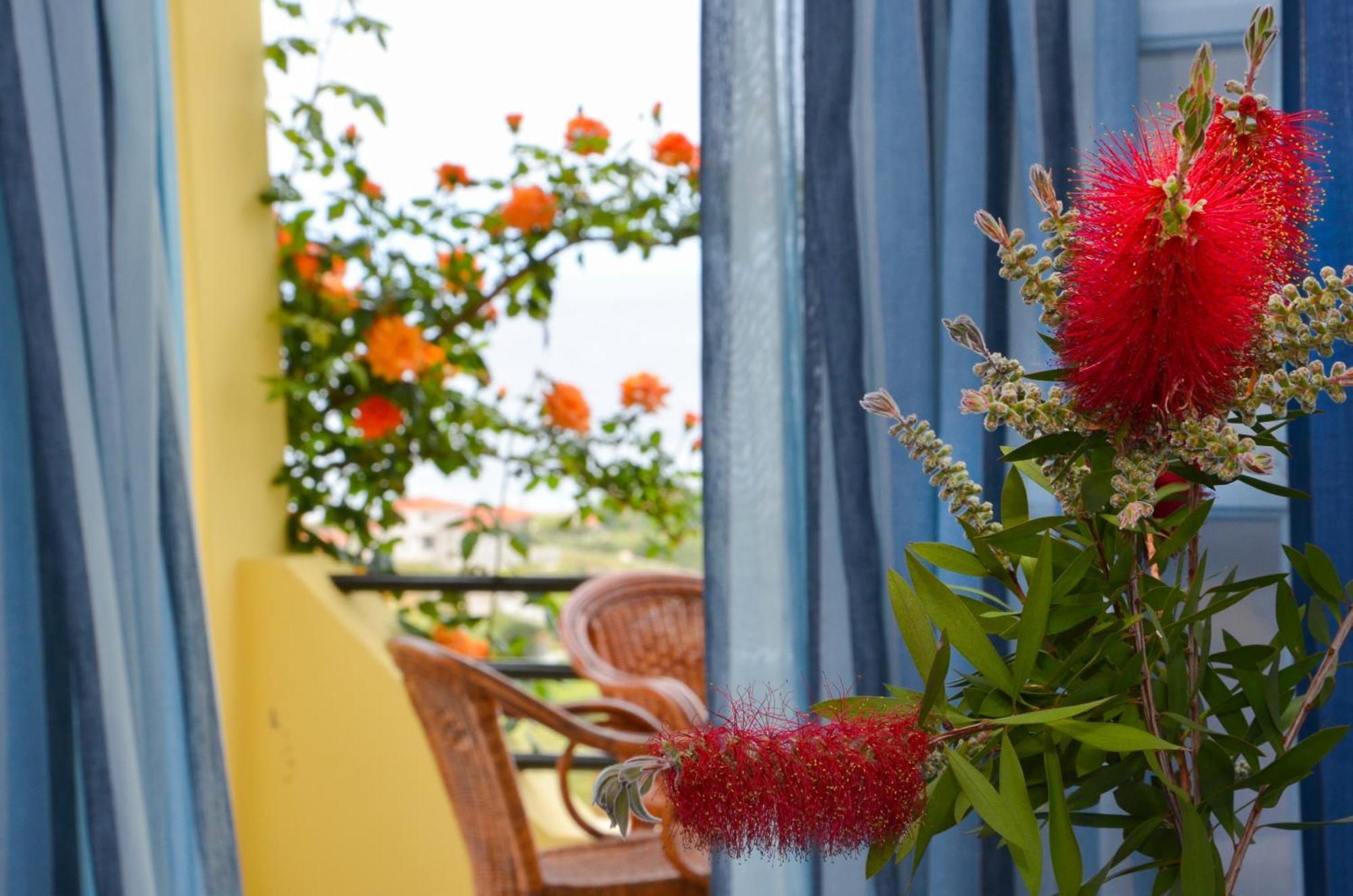 Hotel Dina - Ξενοδοχείο Ντινα Plati  Exteriör bild